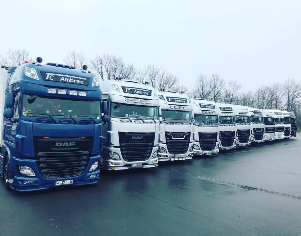 Fuhrpark von TC Ambree: aufgereihte DAF-Zugmaschinen auf dem Betriebshof in Castrop-Rauxel